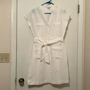 Banana Republic Linen Shirtdress